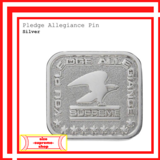 シュプリーム(Supreme)の19AW Supreme Pledge Allegiance Pin(その他)