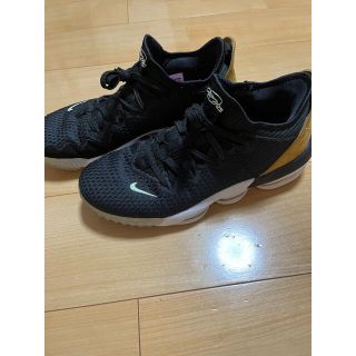 ナイキ(NIKE)のレブロン16(バスケットボール)