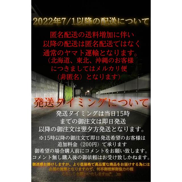 ちるみなH4H4 LED ヘッドライト バルブ フォグ 超絶爆光 V6P 6000k 最強