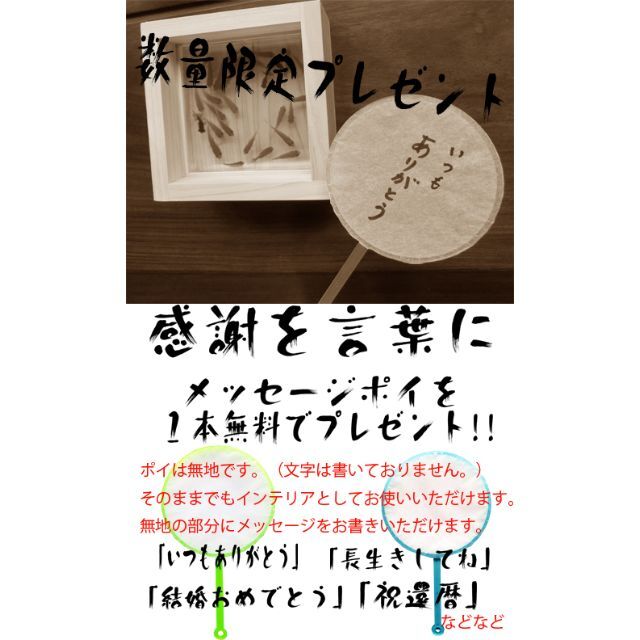 アクリル 3D 金魚アート 咲 純日本製 プレゼント 還暦 結婚 置物 和室 ハンドメイドのおもちゃ(ミニチュア)の商品写真