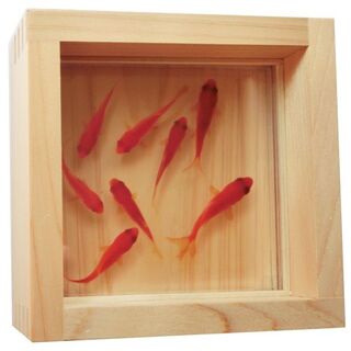 アクリル 3D 金魚アート 咲 純日本製 プレゼント 還暦 結婚 置物 和室(ミニチュア)