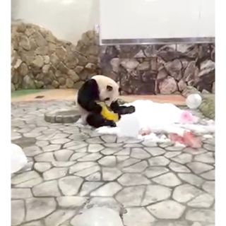 彩浜4歳お誕生日記念グッズ(その他)