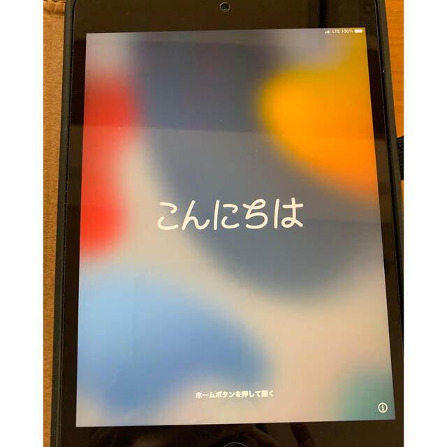 iPad mini 第5世代 WiFi+Cellularモデル256GB
