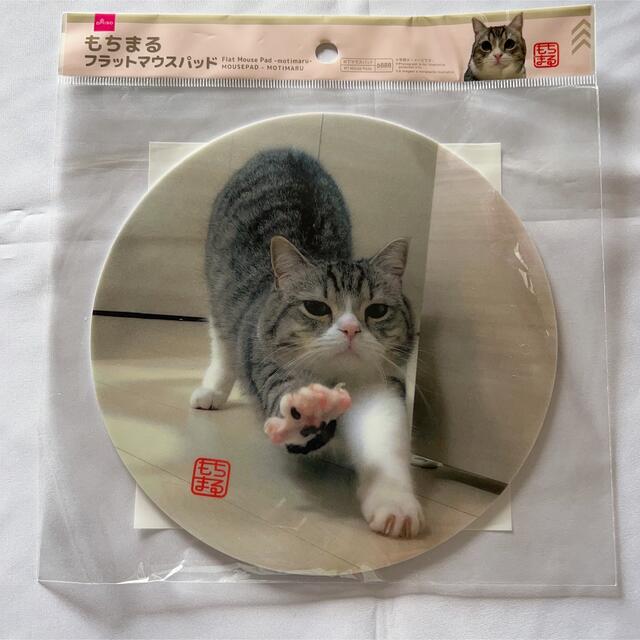 ⭐️最終価格⭐️大人気⭐️もちまる日記 × DAISO コラボ 4点セット その他のペット用品(猫)の商品写真