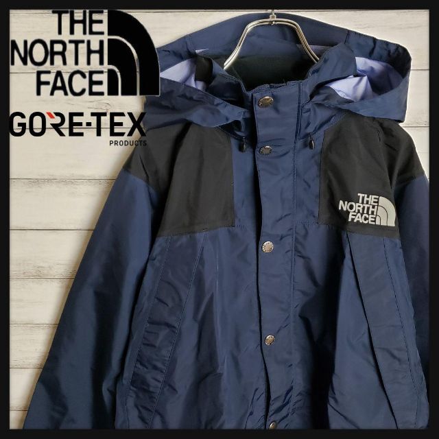 【即完売】THE NORTH FACE ゴアテックス レインテックス くすみ