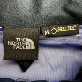 即完売】THE NORTH FACE ゴアテックス レインテックス くすみ