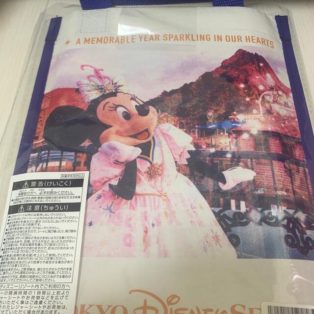 Disney(ディズニー)のディズニーシー20周年　レジャーシート エンタメ/ホビーのおもちゃ/ぬいぐるみ(キャラクターグッズ)の商品写真