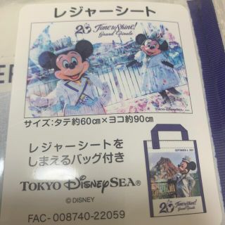 ディズニー(Disney)のディズニーシー20周年　レジャーシート(キャラクターグッズ)