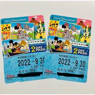 ディズニー(Disney)のリゾートライン フリー きっぷ 2day pass(遊園地/テーマパーク)