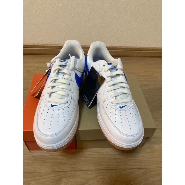 Nike Air Force 1 LowColorof th MonthBlue