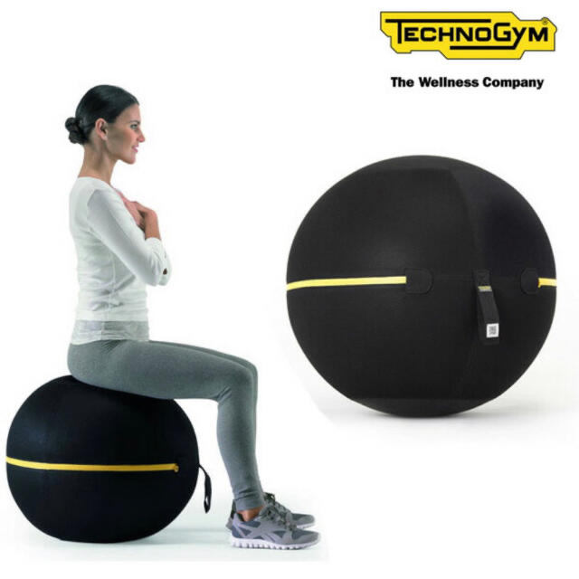 Technogym Wellness Ball Active Sitting