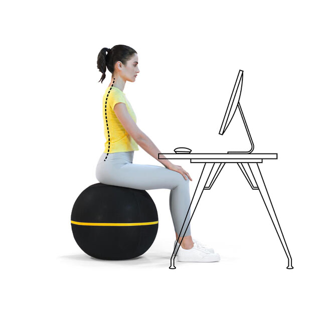 Technogym Wellness Ball Active Sitting Technogym Wellness Ball Active Sitting