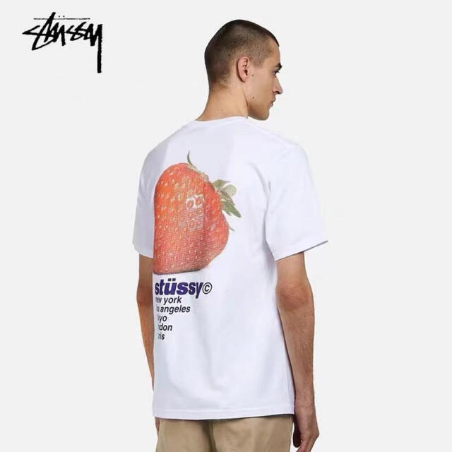 STUSSY(ステューシー)の白、黒　L 2枚セット　専用 メンズのトップス(Tシャツ/カットソー(半袖/袖なし))の商品写真