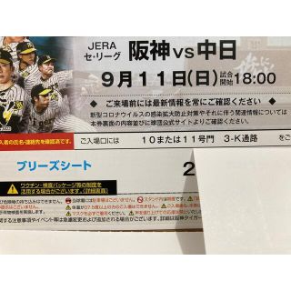 ハンシンタイガース(阪神タイガース)の9/11(日）阪神-中日　ブリーズシート通路横ペア(野球)