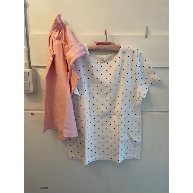 & auralee. 正規品販売! 3930円引き www.toyotec.com