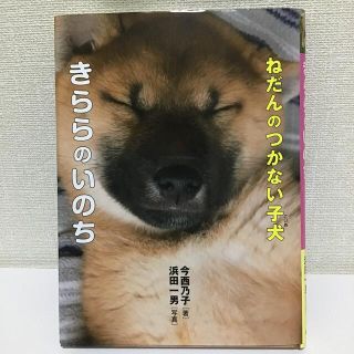 ねだんのつかない子犬・きららのいのち(その他)