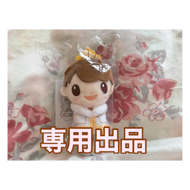 KAIファン様専用です-