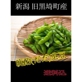 たぬきさんちの枝豆 新潟県産晩酌(だだ)茶豆1kg(野菜)