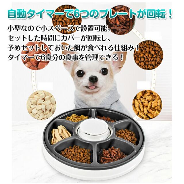 猫　犬　自動餌やり器　一度のみ使用 その他のペット用品(猫)の商品写真