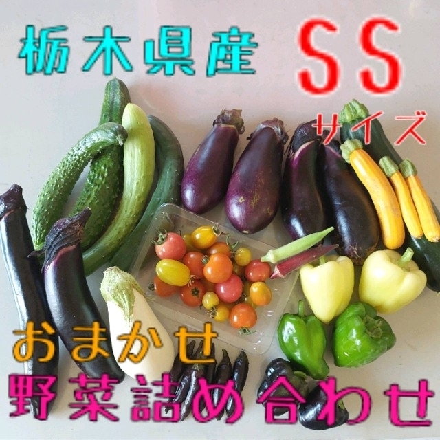 野菜おまかせ詰め合わせBOX【SS】 食品/飲料/酒の食品(野菜)の商品写真