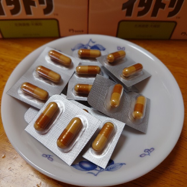 イタドリ【ポムポムみんと様専用】 食品/飲料/酒の健康食品(その他)の商品写真