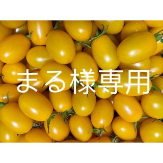 まる様専用ページ(野菜)