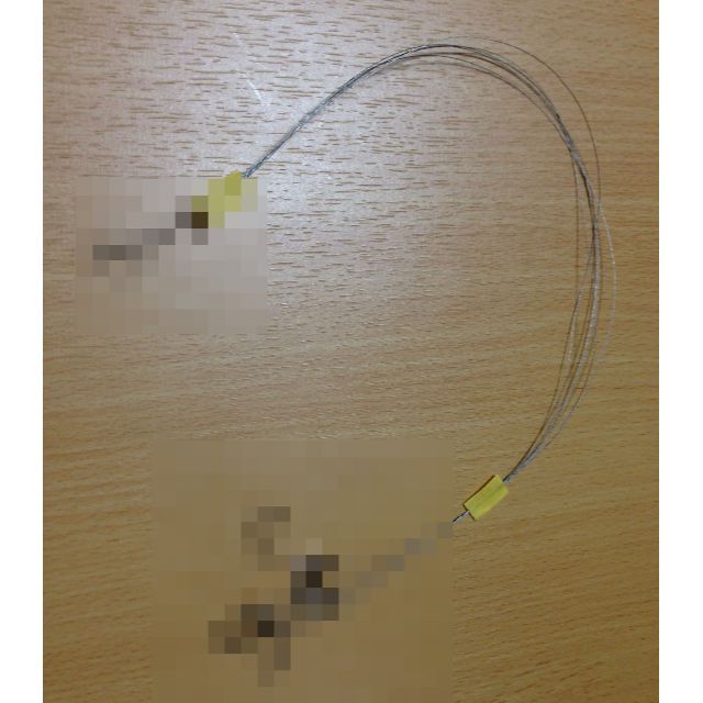 早く届きます! タチウオ大サバ ウキ釣り 超軽量ロング仕掛け 10本+必釣ガイド 2