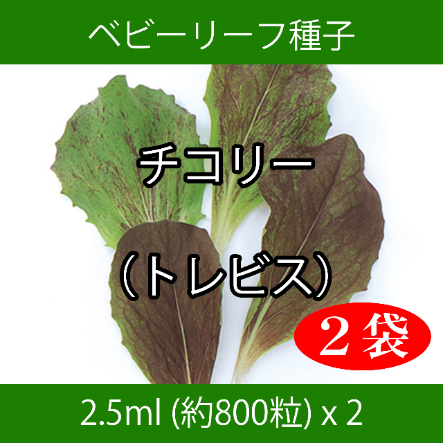 ベビーリーフ種子 B-12 チコリー（トレビス） 2.5ml x 2袋 食品/飲料/酒の食品(野菜)の商品写真