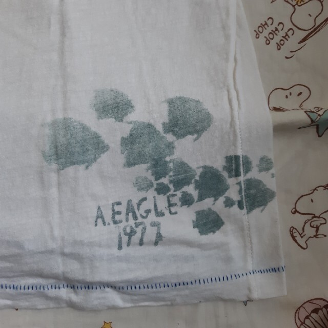 American Eagle(アメリカンイーグル)のAMERICAN EAGLE  メンズTシャツ メンズのトップス(Tシャツ/カットソー(半袖/袖なし))の商品写真