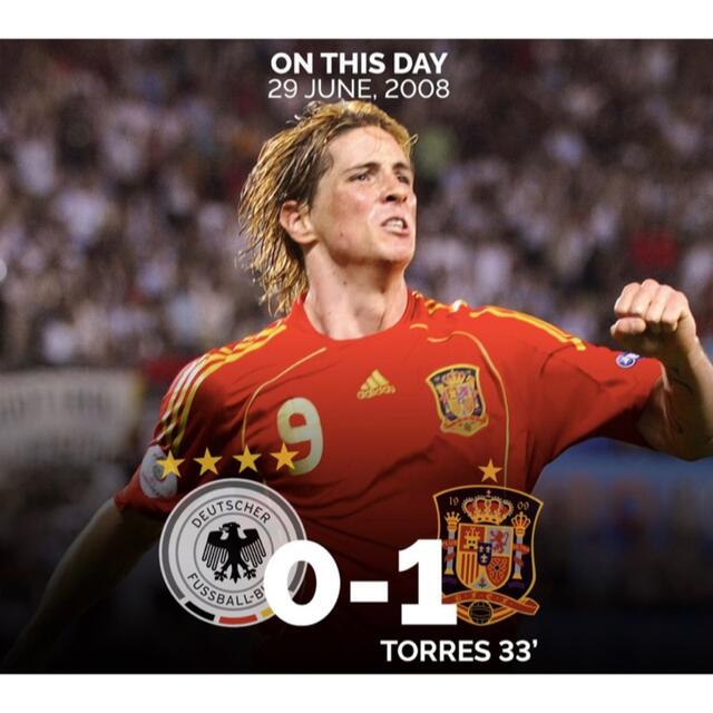 サイズ変更オプション 証明書付 トーレス 直筆サイン EURO2008 Final