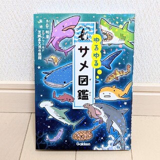 ゆるゆるサメ図鑑(絵本/児童書)