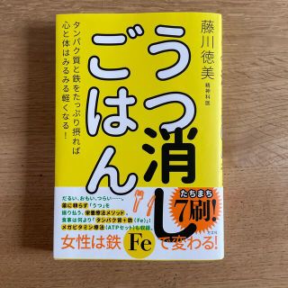 うつ消しごはん タンパク質と鉄をたっぷり摂れば心と体はみるみる軽く(結婚/出産/子育て)