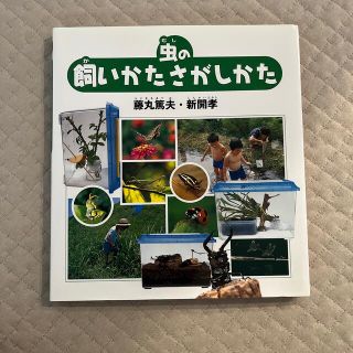 虫の飼いかたさがしかた(絵本/児童書)