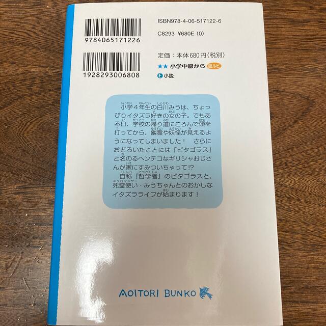 いたずら★死霊使い大賢者ピタゴラスがあらわれた！？ エンタメ/ホビーの本(絵本/児童書)の商品写真