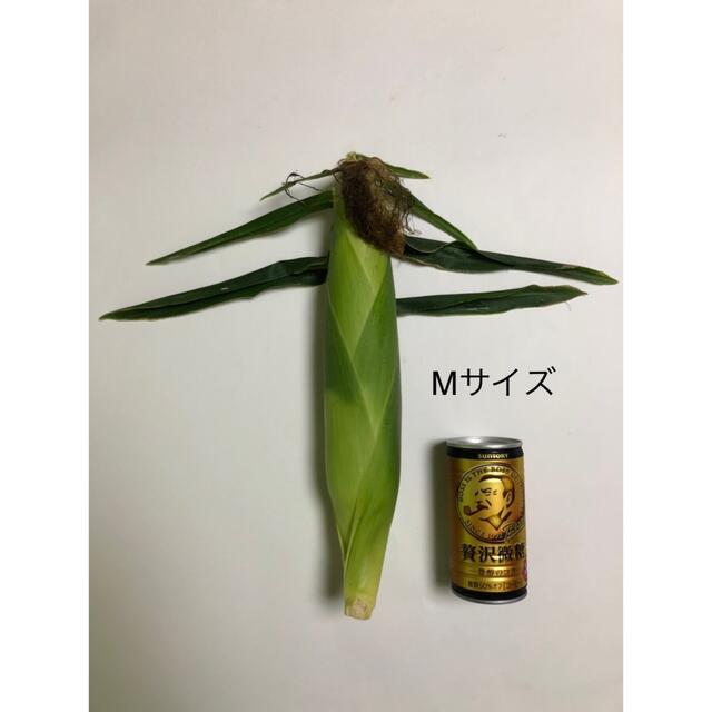 とうもろこし　20本 食品/飲料/酒の食品(野菜)の商品写真