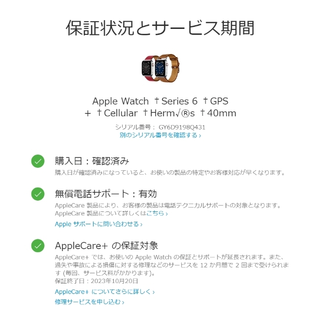 Apple(アップル)のApple Watch HERMES - series 6 40mm シルバー メンズの時計(腕時計(デジタル))の商品写真