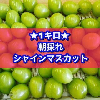 シャインマスカット‼️1キロ(フルーツ)