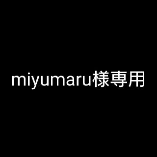 miyumaru様専用(ファイル/バインダー)