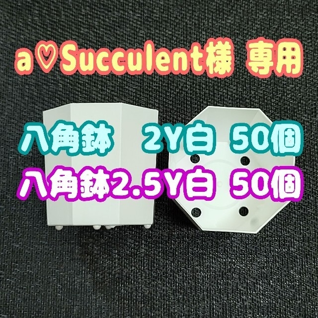 《2Y》カネヤ 八角鉢 白 50個 他 プラ鉢 多肉植物 プレステラ ハンドメイドのフラワー/ガーデン(プランター)の商品写真