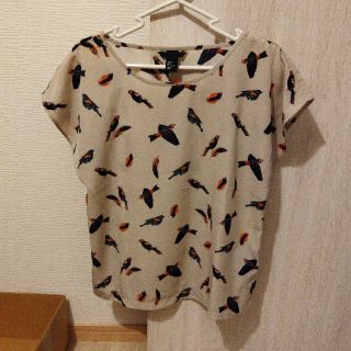 エイチアンドエム(H&M)の美品★H&M　鳥柄　ブラウス　カットソー(シャツ/ブラウス(半袖/袖なし))