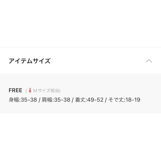 kotohayokozawa 別注シースルーショートスリーブトップスクルーネック