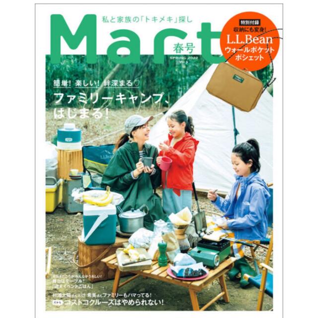 Theory luxe(セオリーリュクス)の雑誌付録　まとめ売り レディースのバッグ(トートバッグ)の商品写真