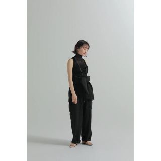 トゥデイフル(TODAYFUL)のlouren sheer turtleneck tops(カットソー(半袖/袖なし))