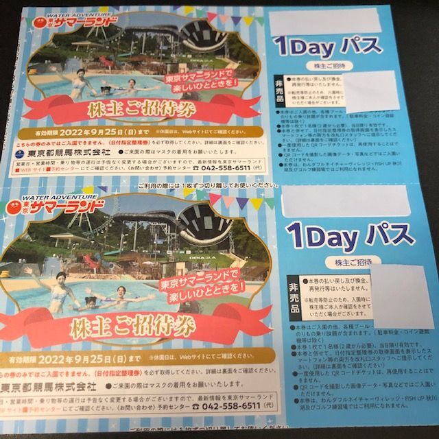 東京サマーランド 株主優待 1Dayパス券3枚 2022.9.25まで