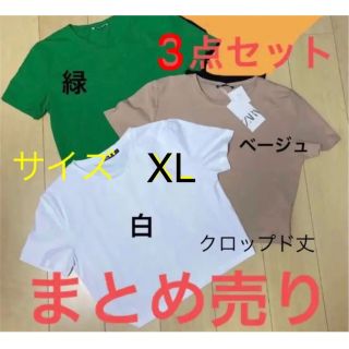 ザラ(ZARA)のまとめ売り ZARA ザラ 短いTシャツ クロップド丈 ショート丈 チビT(Tシャツ(半袖/袖なし))