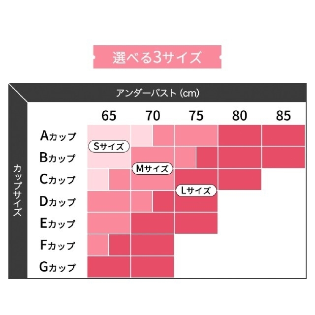 GYDA(ジェイダ)のLサイズ AGARISM アガリズム ナイトブラ GYDA コラボ レディースの下着/アンダーウェア(その他)の商品写真