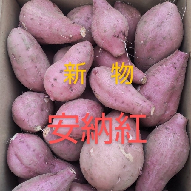 新物　種子島産安納紅2S〜Mサイズ混合3キロ 食品/飲料/酒の食品(野菜)の商品写真