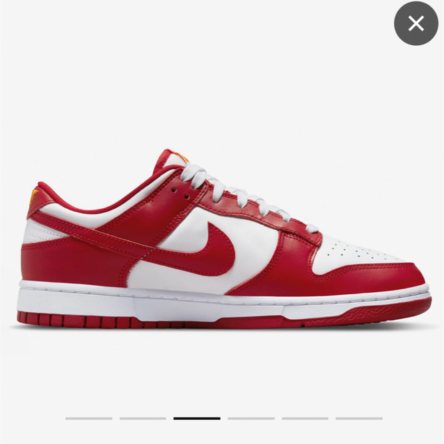 NIKE(ナイキ)のNike Dunk Low "Gym Red"ナイキ ダンク 28.5 メンズの靴/シューズ(スニーカー)の商品写真