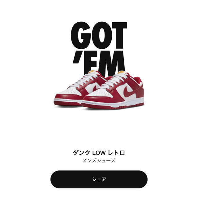 Nike Gym Red ダンク