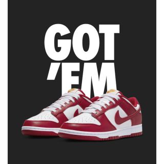 ナイキ(NIKE)のNIKE DUNK LOW GYM RED(スニーカー)